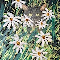 Smell the Flowers
