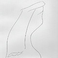 Veil